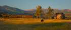 Fall Grazing Art Print